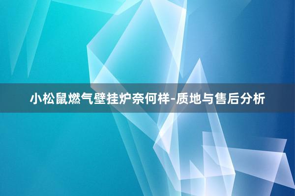 小松鼠燃气壁挂炉奈何样-质地与售后分析