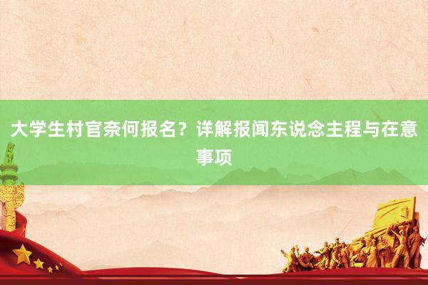大学生村官奈何报名？详解报闻东说念主程与在意事项